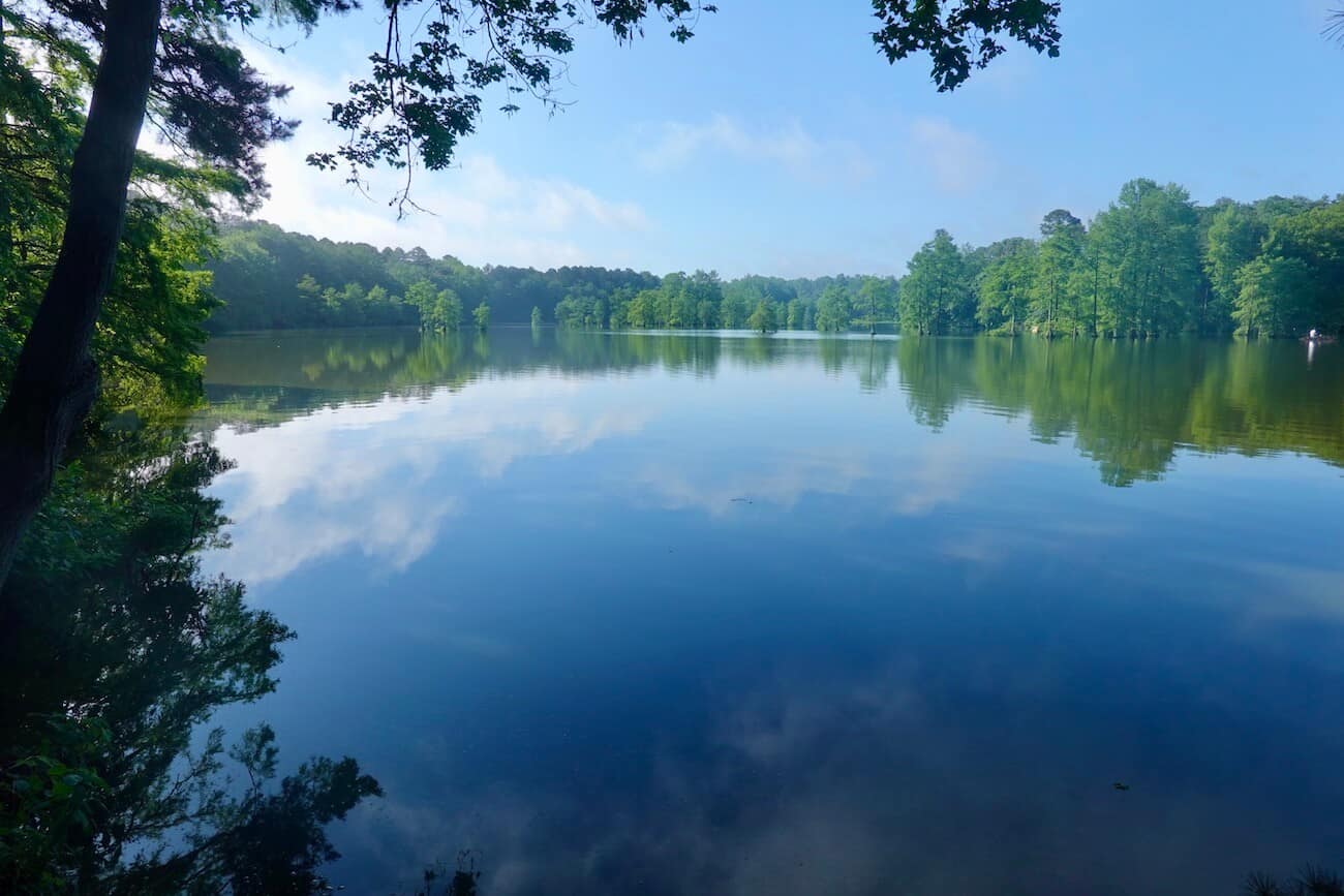 Escape To Enchantment: Delaware’s Hidden Gem, Trap Pond State Park