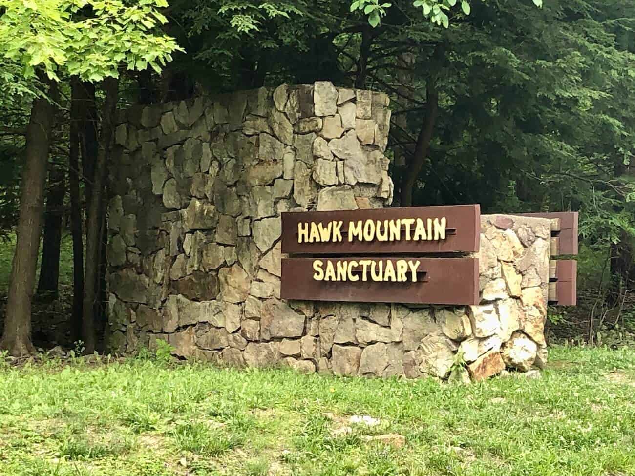 Bald Eagle  Hawk Mountain Sanctuary: Learn Visit Join