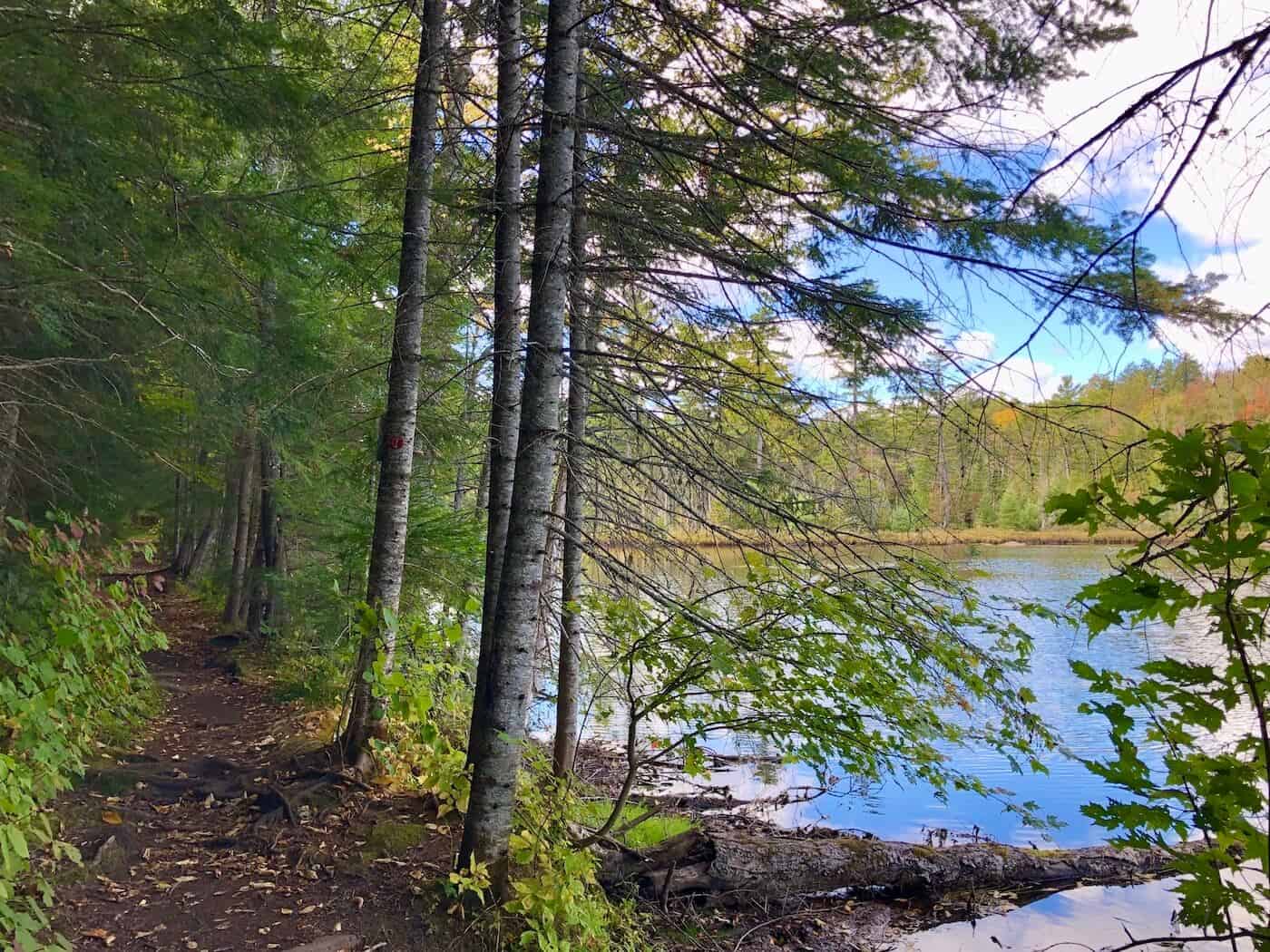 A picture of Cobble Trail along Lake Echo in Lake Placid.