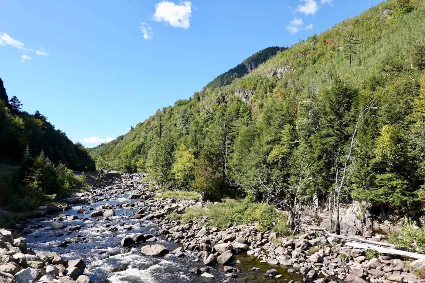 A view of a rocky river bed surrounded by trees and a mountain in Lake Placid.