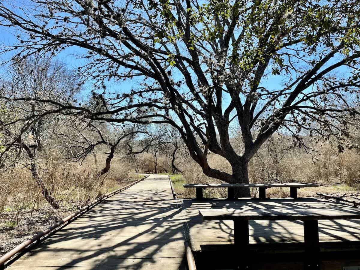 An area along the Water Trail at Hardberger Park has benches for resting under a tree's large canopy.