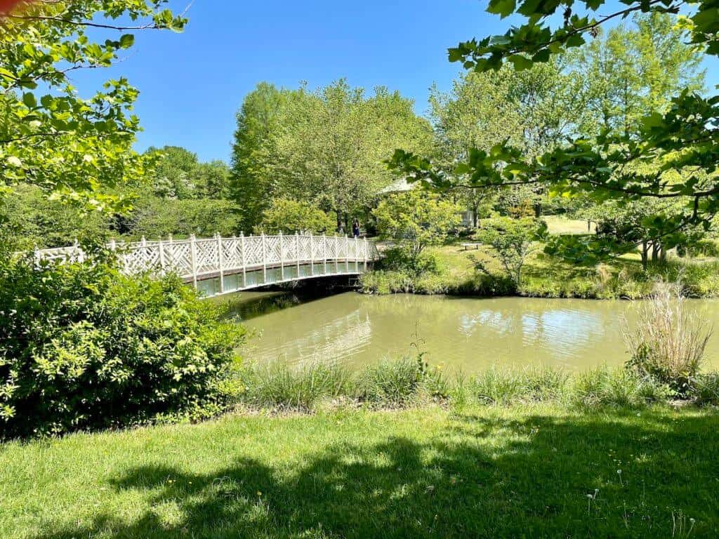 A white wooden bench crosses a creek in Quiet Waters Park in Annapolis.