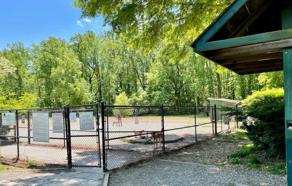 A fenced dog park with dogs and their owners in Quiet Waters Park.