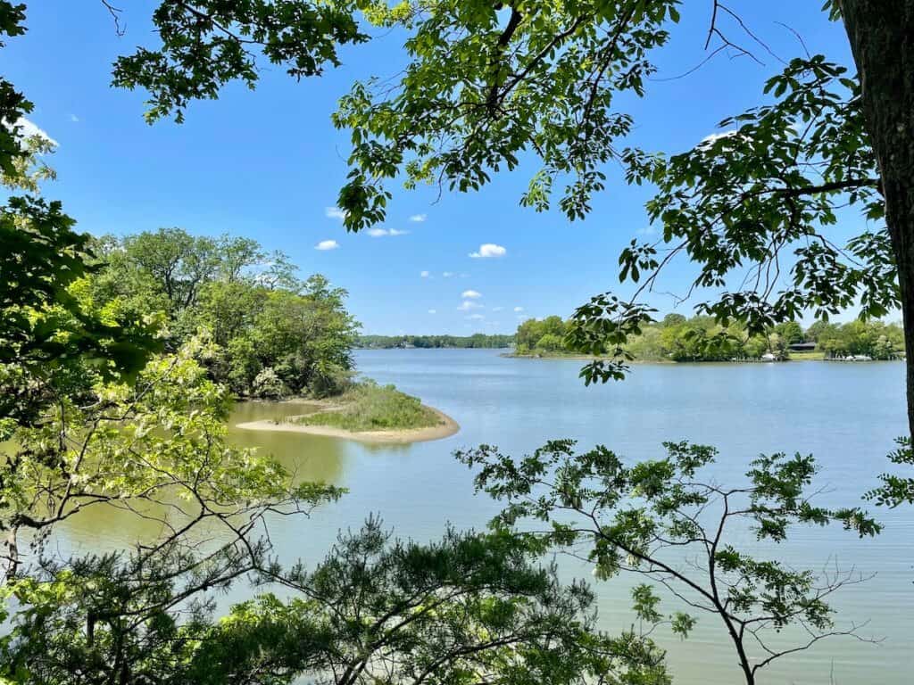 A view of the river as seen from a wooded trail.