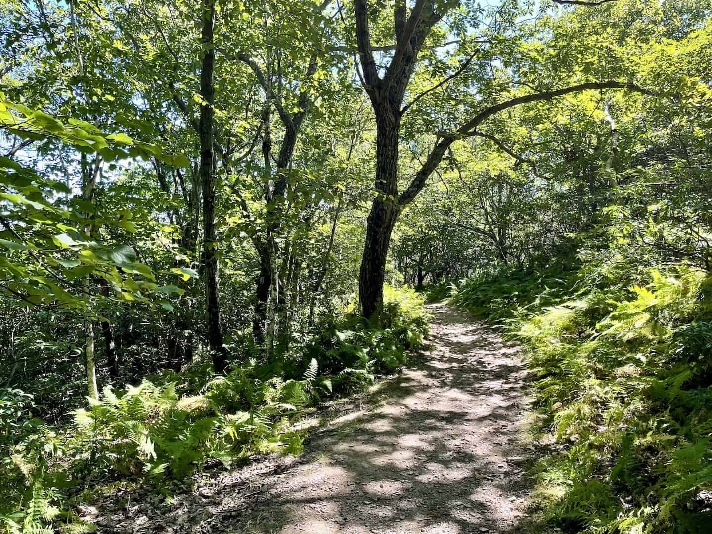 Big pocono outlet state park hiking