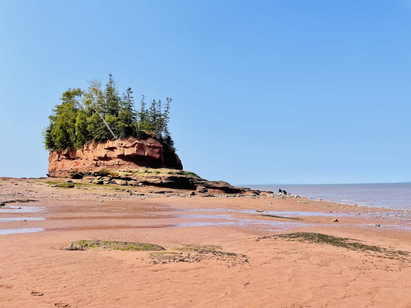 Caves and coastal features at low tide on the Bay of Fundy, near