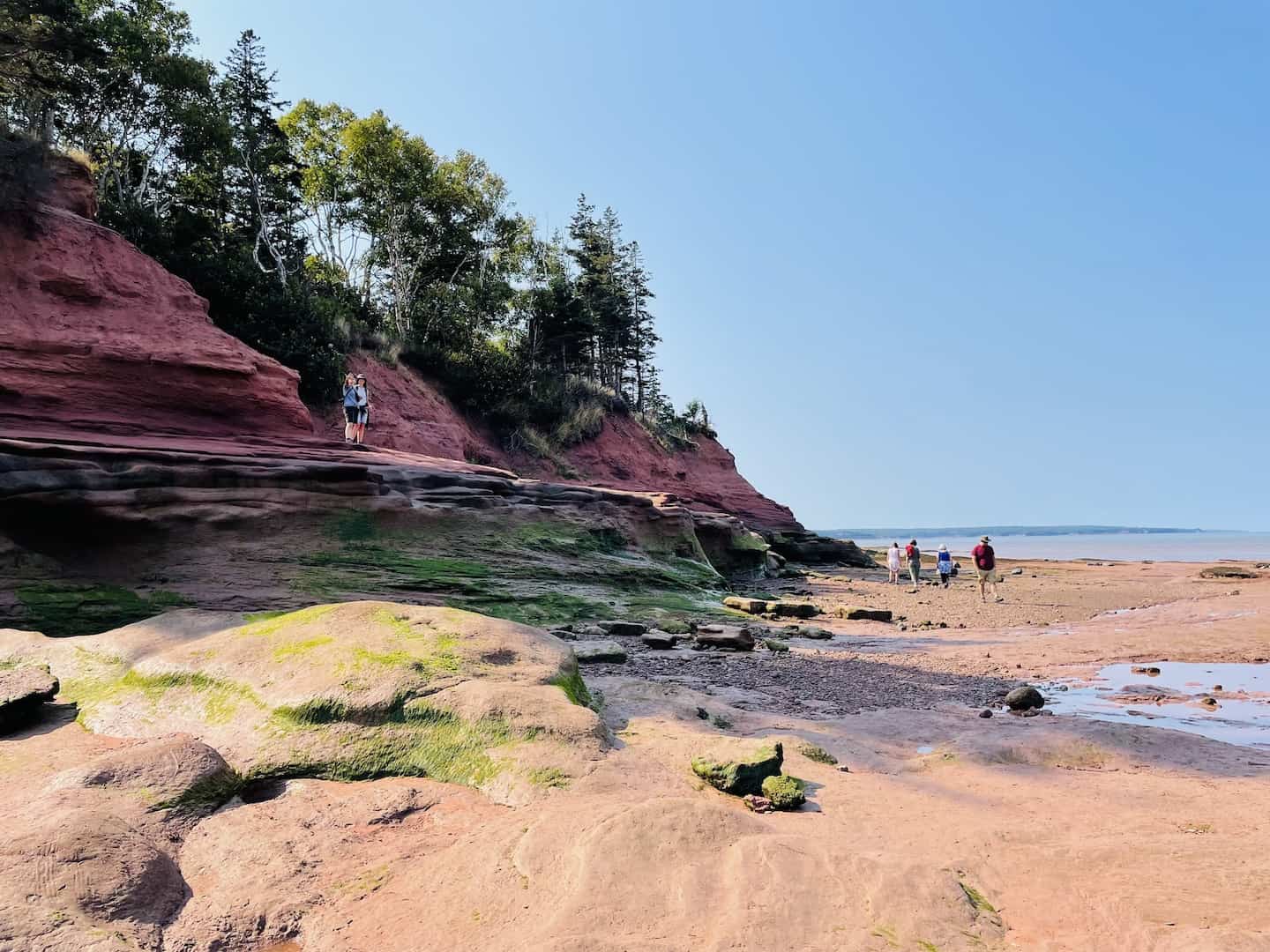 bay of fundy high and low tides