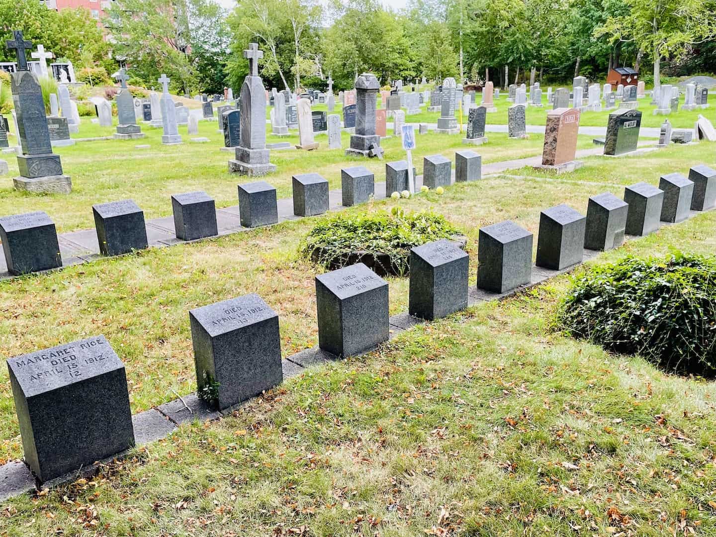 Two rows of headstones of Titanic victims stand in a cemetery in Halifax.