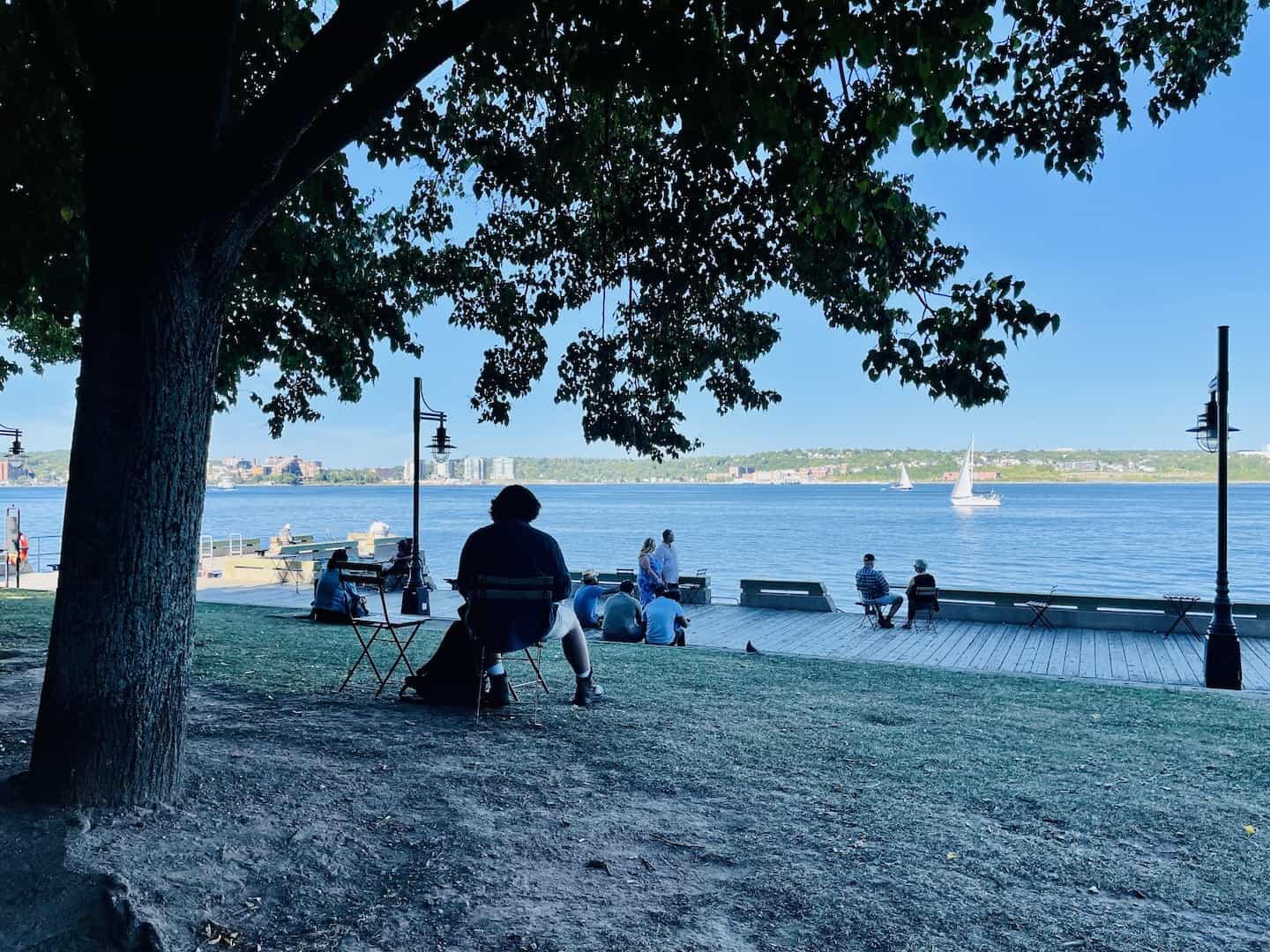 Under a large shady tree, people sit near the Halifax waterfront watching boat go by in the harbor.