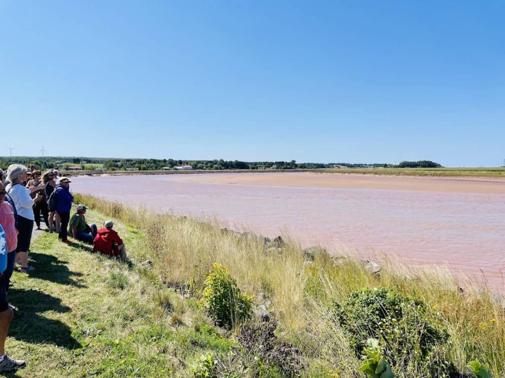 The Best Ways To Experience The Phenomenal Bay Of Fundy, Nova Scotia ...