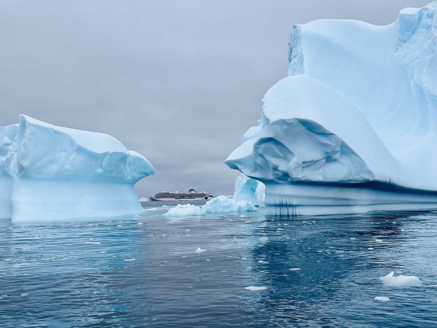 Viking Antarctica Cruises A Complete Guide for Adventurers Travel