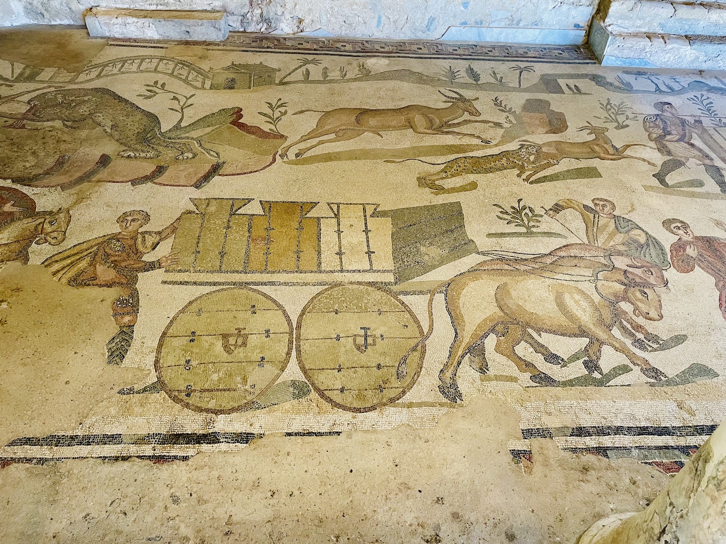 Colorful floor mosaics show oxen pulling a wagon and wild animals at Villa Romana del Casale in Piazza Armerina, Sicily, Italy.