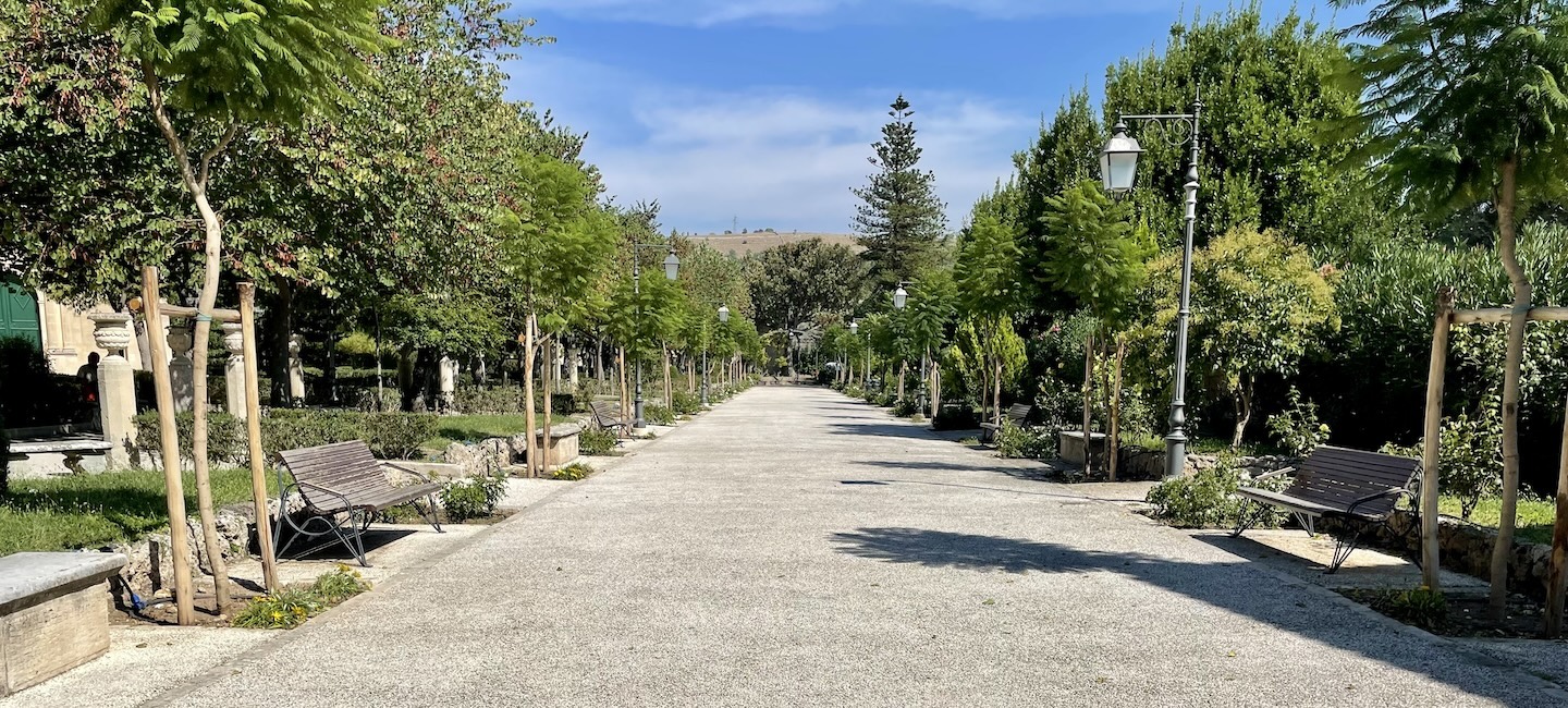 Trees line a walkway in a public park in Ragusa, Sicily.